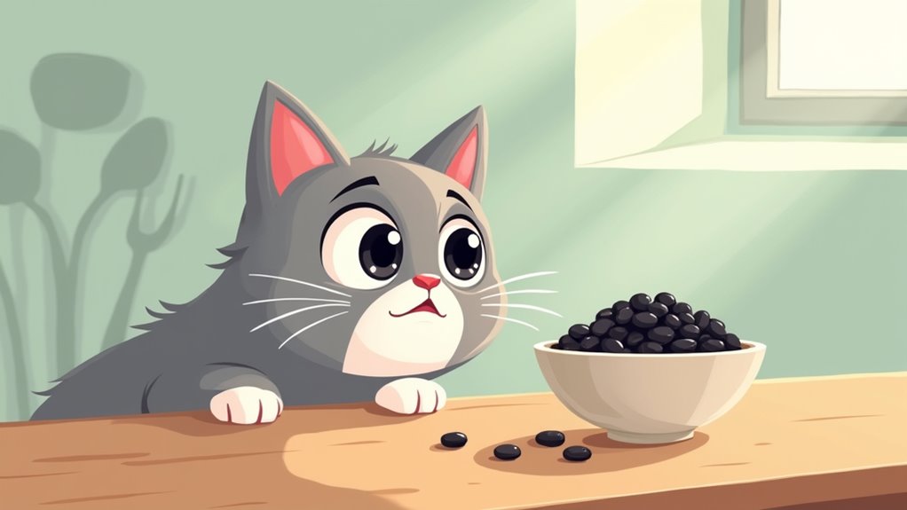 risks of beans for cats